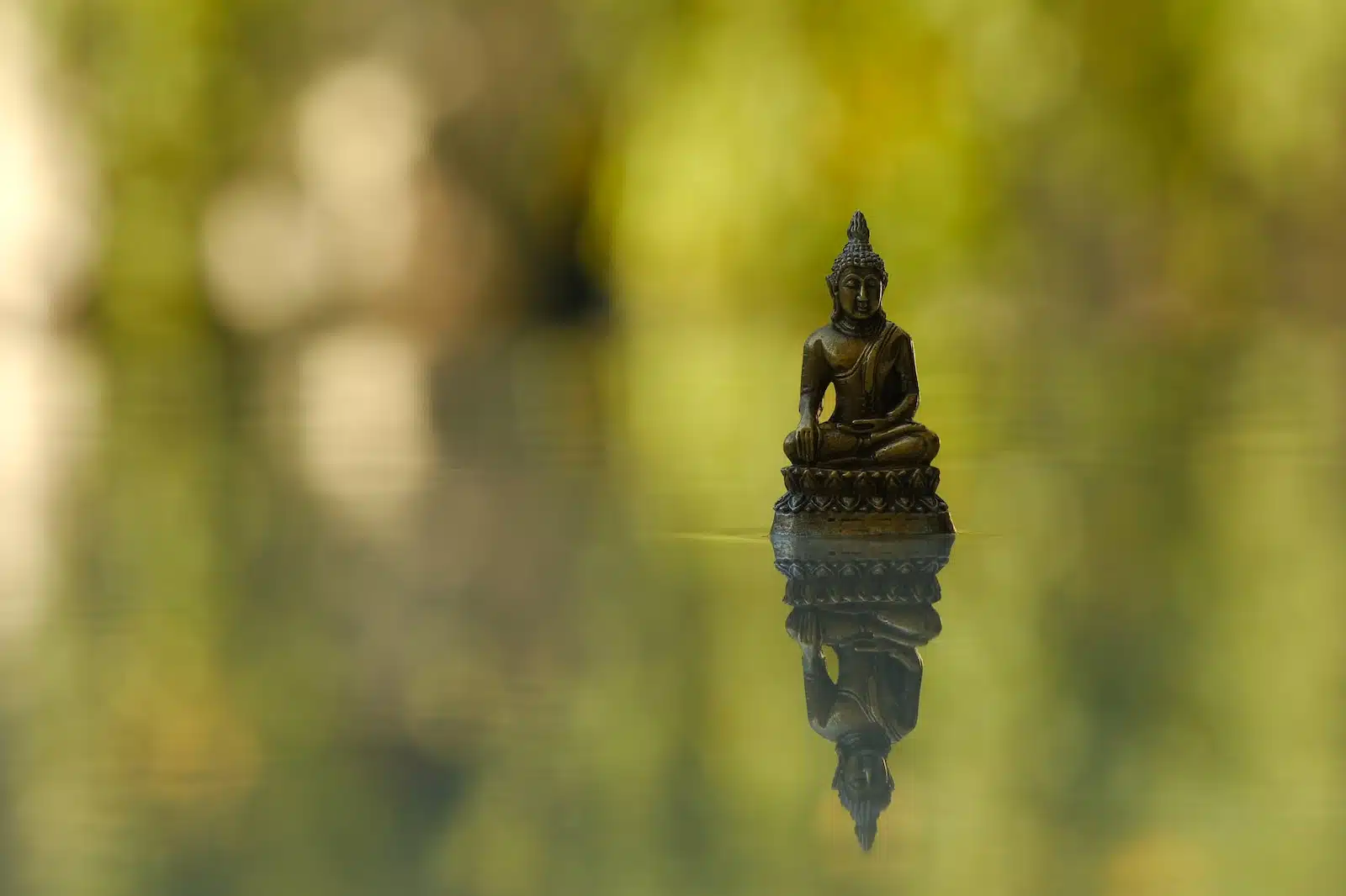 a small buddha statue sitting on top of a body of water